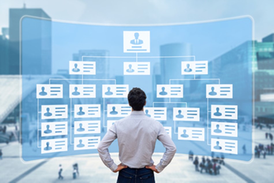 Is It Time To Review Your Business’s Organizational Structure?